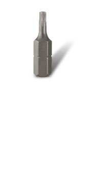 Insert Bit-Torx TR T10 25mm