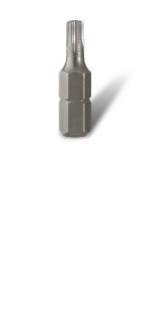 Insert Bit-Torx TR T20 25mm