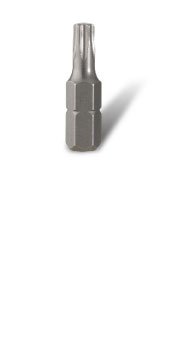 Insert Bit-Torx TR T25 25mm